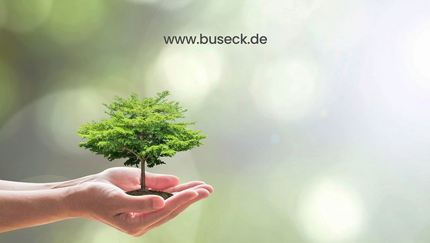 Hand, die einen kleinen Baum trägt