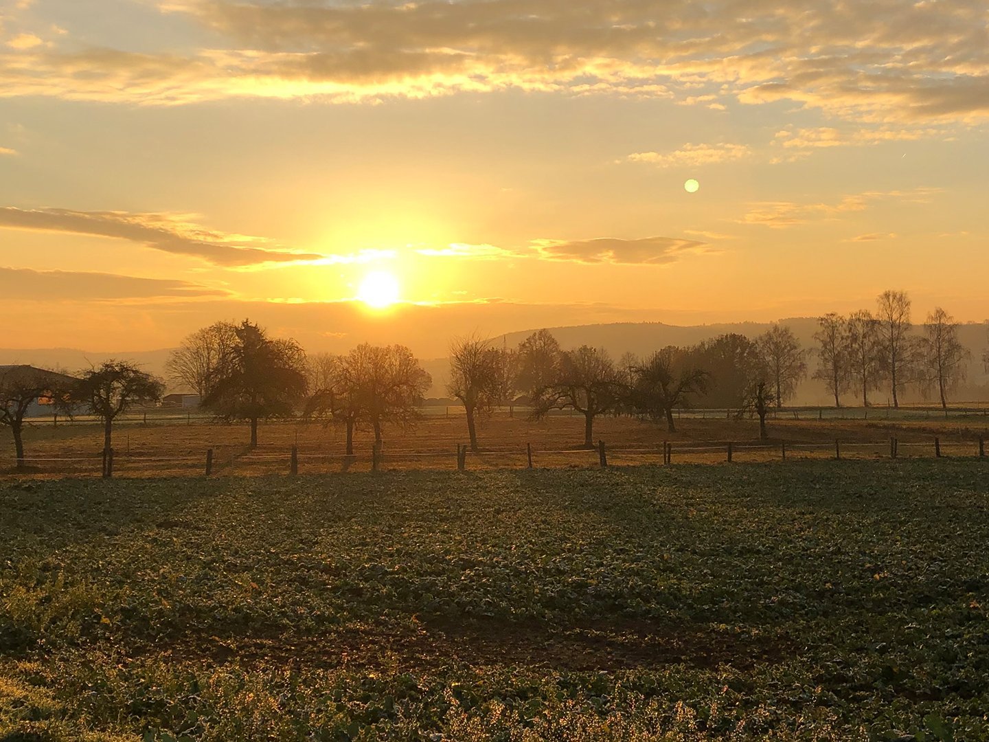 Felder über Alten Buseck