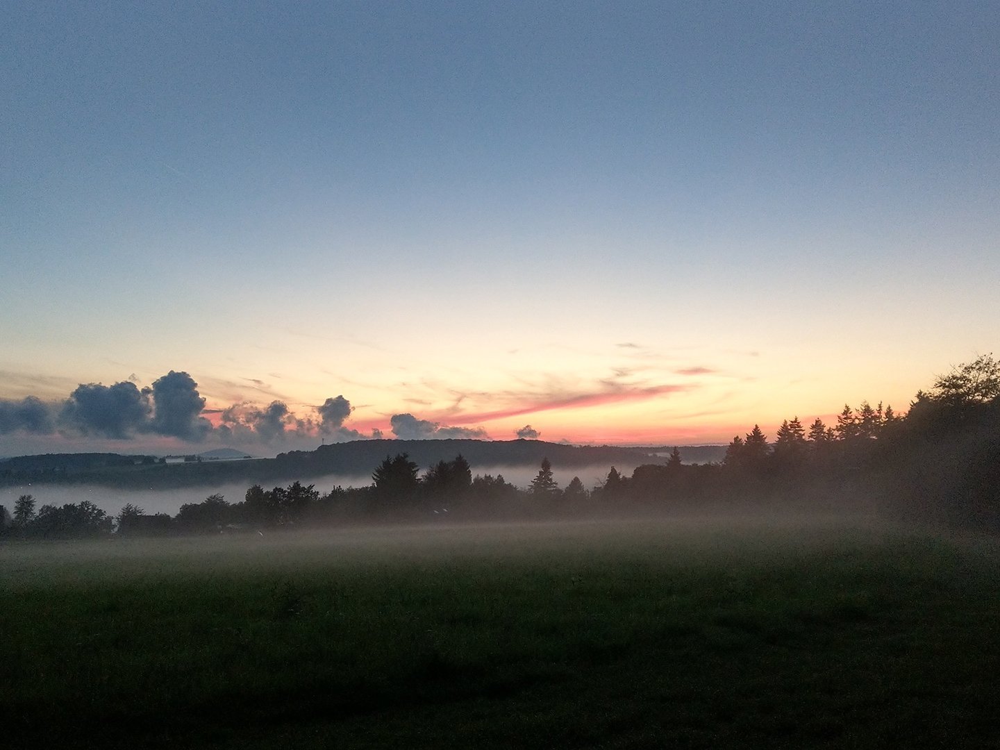 Nebel über Beuerner Wald